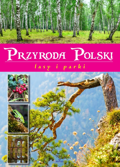 Przyroda Polski. Lasy i parki Żaneta Zając